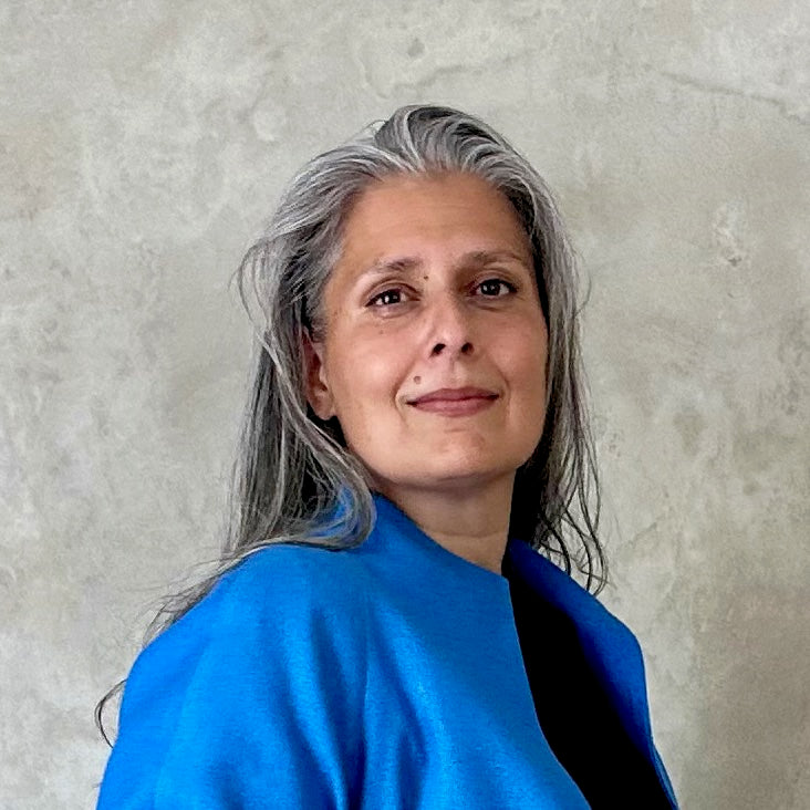 the frink coat in ultramarine silk matka image 10